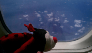 I gave this "love bug" to Robert when I first worked up the nerve to tell him I love him. She flew with me to Costa Rica last summer since he couldn't.