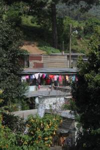 A view of the "neighborhood"- photo by Shanna Fortier