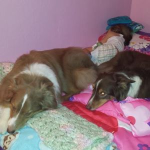 My bed is not the only one they take over.