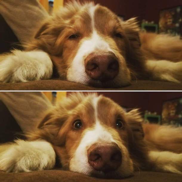 FB_IMG_1584441100422